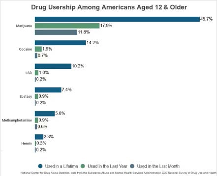drug usage among americans aged 12 and older
